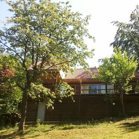 Vintage Holiday Home In Bad Pyrmont With Private Terrace Lügde Dış mekan fotoğraf